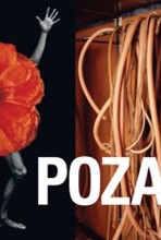 Poza: On the Polishness of Polish Contemporary Art